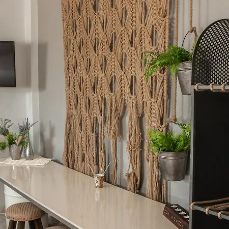 فيلة Olybos ليبتوكاريا