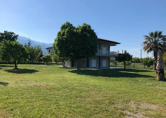 Olybos ليبتوكاريا